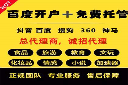 SEM推广实战：成功案例解读与策略调整